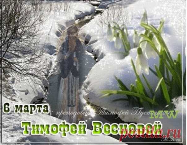 Тимофей Весновей!