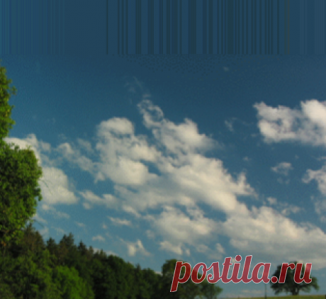 31365864.IMG_8661animatedS2.gif (320×240)