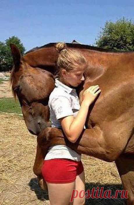 Это больше чем просто фото