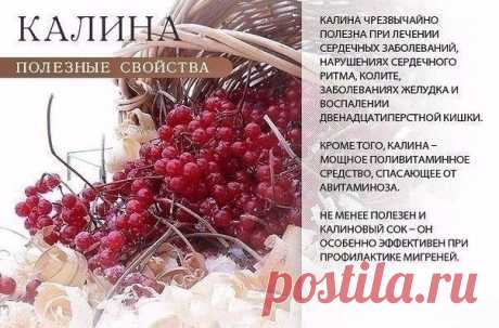 Интересные новости
