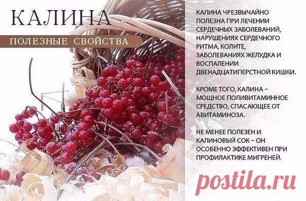 Интересные новости