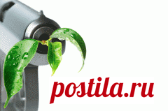 Сегодня 14 июля отмечается 