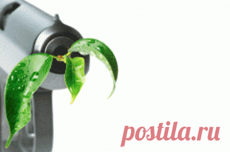 Сегодня 14 июля отмечается "День миротворца в Южной Осетии"