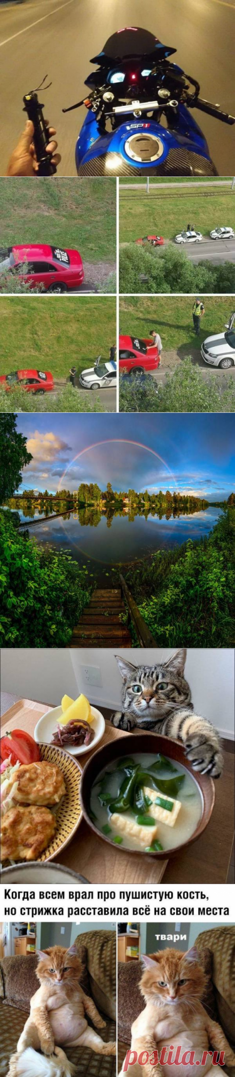 Подборка прикольных картинок и фотографий-256