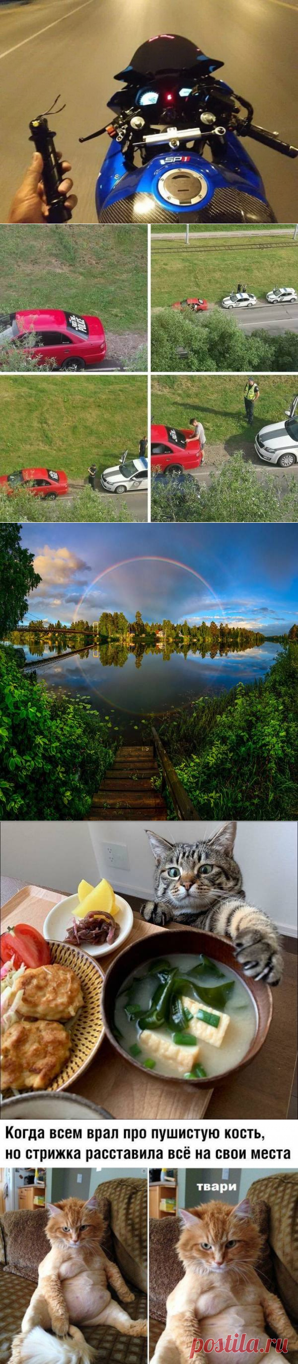 Подборка прикольных картинок и фотографий-256