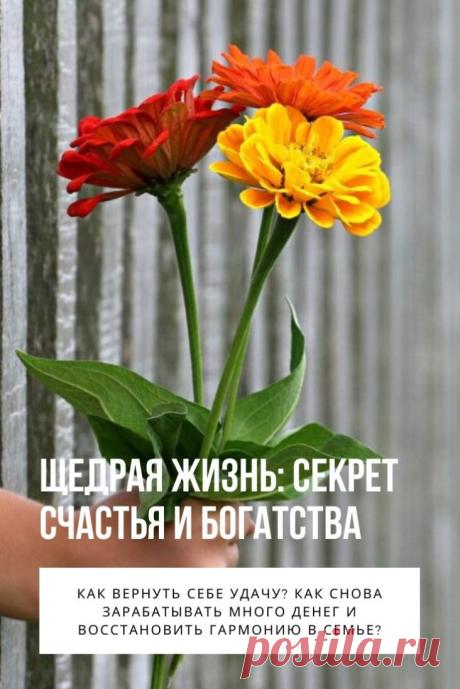 Щедрая жизнь. Каждый из нас на определенном этапе жизни сталкивался с финансовыми трудностями. Причину недостатка денег кто-то объясняет царящим в мире экономическим кризисом, сложной ситуацией в конкретной компании, недобросовестностью партнеров по бизнесу.