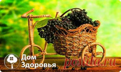 Дом Здоровья и Красоты
Как же русские знахари лечили рак ! 
Было несколько способов лечения рака…

1. Рецепт взят с офицального сайта Георгия Алексеевича Сидорова из статьи ” Лечение «неизлечимой» болезни ”
Народные целители понимали, что главным в лечении любой болезни является иммунная система человека. Поэтому, в начале лечения, старались её максимально усилить.