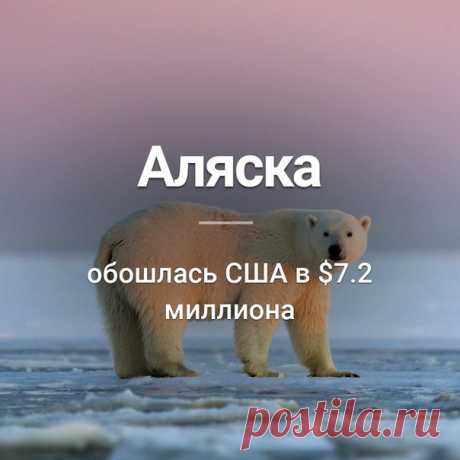 Узнай сегодня