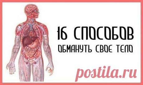 В жизни без советов бывает туго..... | Наш дом