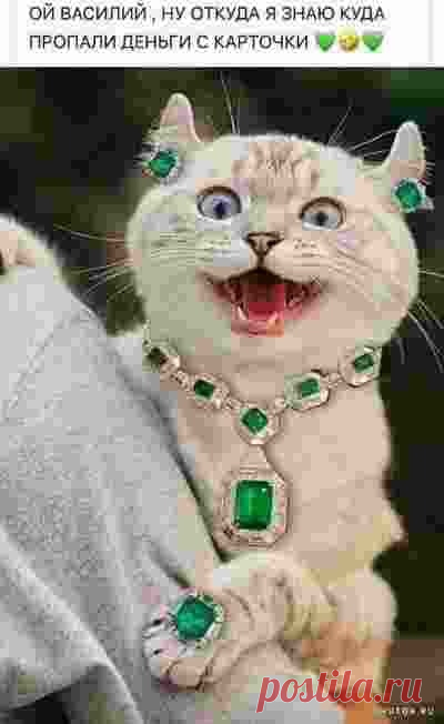 💪✅ Главные преимущества CANCRI Jewelry:
1. Уникальный продукт (драгоценности).
2. Ежедневные выплаты.
3. Программа быстрого заработка (Бонус+).
4. Партнёрская программа.
5. Нет ограничений в построении структур.
6. Бесплатные шоппинг-туры.
7. Преимущества для Лидеров.
8. Мотивационные мероприятия.
9. Работа в онлайн (без границ, COVID не угроза).
10. Ежедневные розыгрыши 100€.
11. Защищён турецким законодательством.