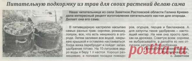 Питательная подкормка из трав