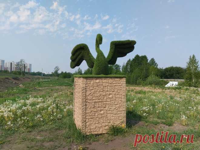 Красное озеро в Кемерово – любимое место для отдыха летом