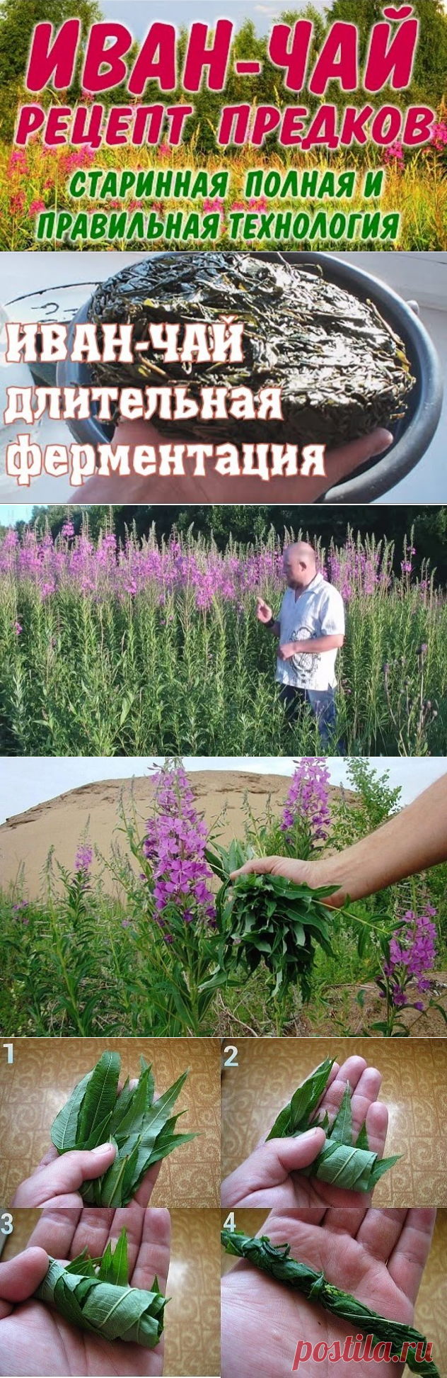 Одноклассники