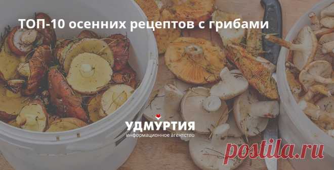 ТОП-10 осенних рецептов с грибами 
Осень – время не только яблок, но и грибов. Пик грибного сезона приходится на сентябрь. Запрет на посещение лесов уже снят, и любители опят и маслят готовы отправиться на «охоту», вооружившись больш