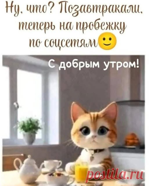 510b20bd.jpg (513×640)