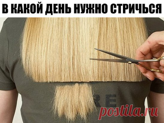 В какой день нужно стричься 
- ПОНЕДЕЛЬНИК (Луна). Выбирайте для 
стрижки этот день, если хотите избавиться от грусти и печали. Вместе с 
остриженными волосами вас покинет большое количество негативных эмоций,
неразрешенных и накопившихся проблем. 
В понедельник нельзя стричься рожденным во вторник, среду, воскресенье. 
-ВТОРНИК (Марс). Хорошо стричься тем, у кого ослабленное физическое 
здоровье и кому надоела монотонность в жизни, но не хватает активности, 
смелости и волевых качеств. 
И отлож