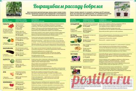 СОХРАНИ!