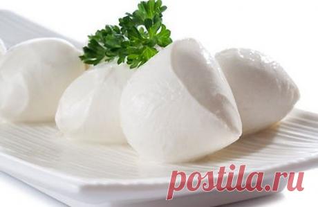 Моцарелла в домашних условиях. Домашний сыр Моцарелла