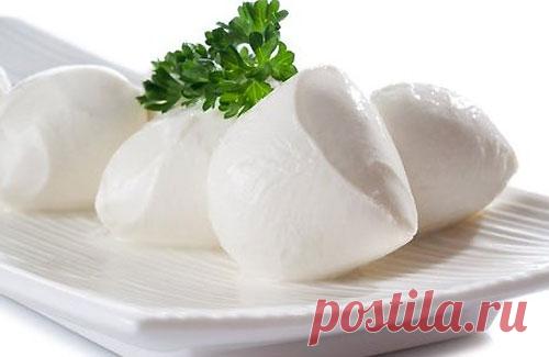 Моцарелла в домашних условиях. Домашний сыр Моцарелла