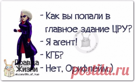 Прикольные фразочки в картинках
