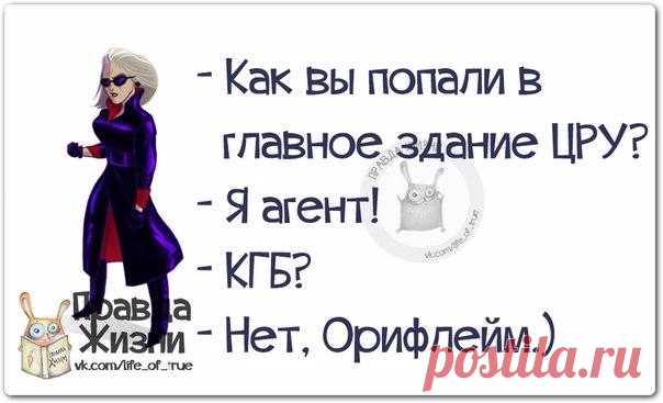 Прикольные фразочки в картинках