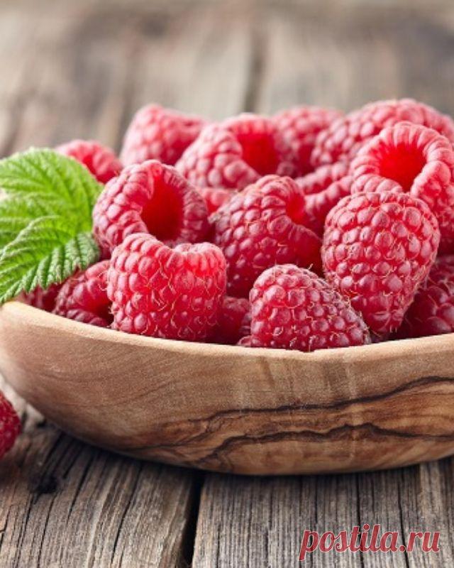 Подкормка малины после плодоношения — Сад Заготовка