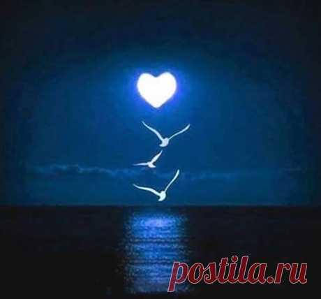 (3) Facebook