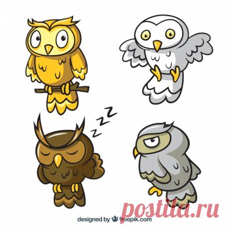Набор из четырех мультяшных сов Более миллиона свободных векторов, PSD, фотографии и бесплатные иконки. Эксклюзивные халявы и все графические ресурсы, которые необходимые для ваших проектов