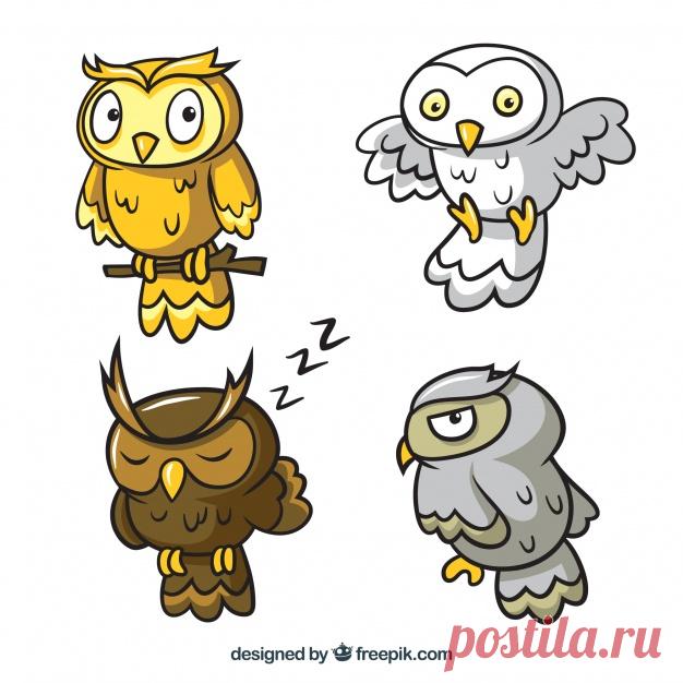 Набор из четырех мультяшных сов Более миллиона свободных векторов, PSD, фотографии и бесплатные иконки. Эксклюзивные халявы и все графические ресурсы, которые необходимые для ваших проектов