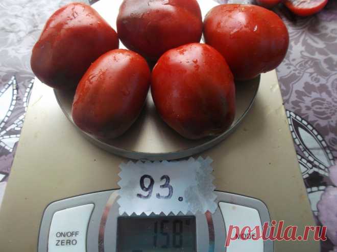 Томат Черный мавр: отзывы, фото, урожайность | tomatland.ru