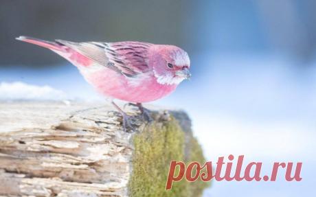 21 безупречное фото, которое введет вас в гипнотический транс