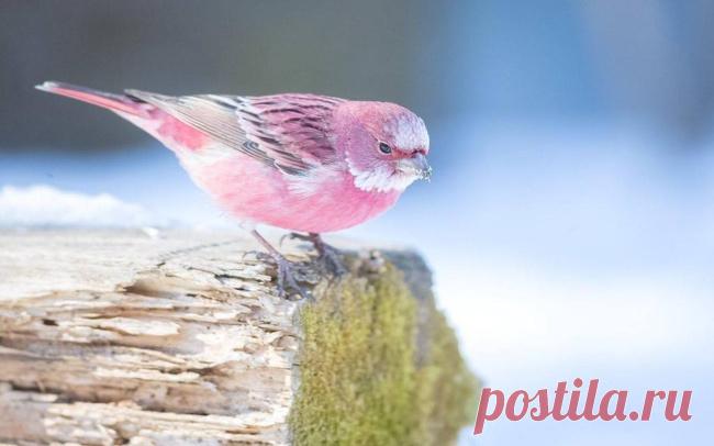 21 безупречное фото, которое введет вас в гипнотический транс