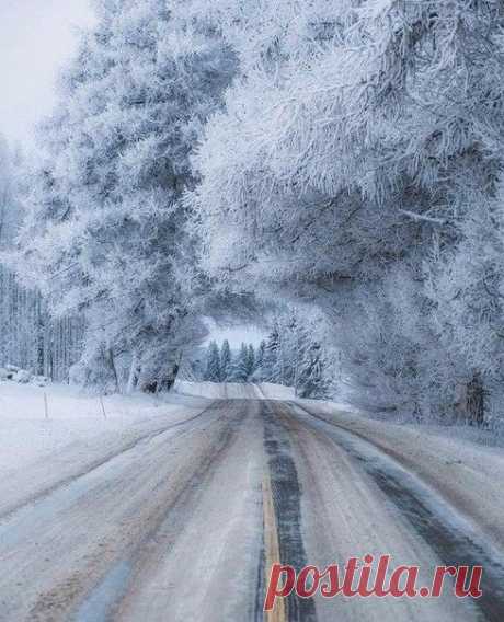 Под покровом зимы ❄ доброе утро:)