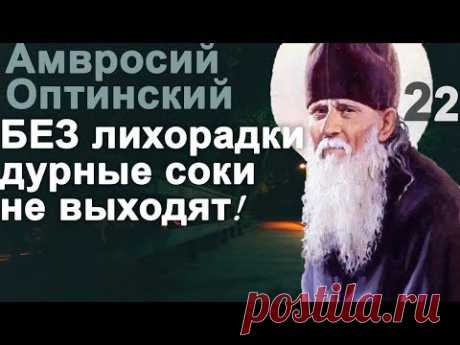 Какие Псалмы читать при Напастях и Скорбях? Амвросий Оптинский Ч22