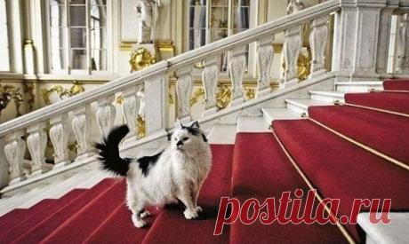 Стражи Эрмитажа | Кириллица