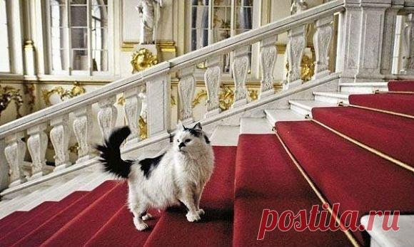 Стражи Эрмитажа | Кириллица