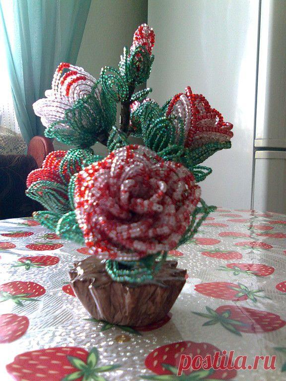 Бисероплетение. Волшебный мир бисера
Наталья Кошкина