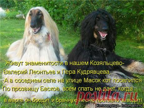 котоматрица лучшее за все время: 16 тыс изображений найдено в Яндекс.Картинках