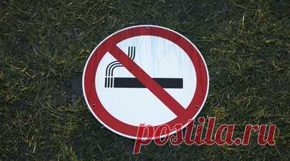 Психолог Никишина назвала три стратегии борьбы с зависимостью от курения. Доктор психологических наук, профессор, директор Института клинической психологии и социальной работы, заведующая кафедрой клинической психологии ИКПСР Вера Никишина объяснила в беседе с RT, как бороться с зависимостью от курения. Читать далее