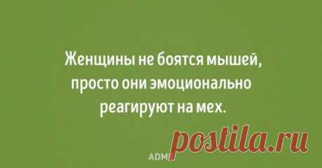 (58) Pinterest