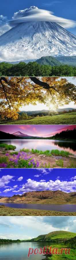 Лучшие фото – Пейзажи/Флора – Сообщество – Google+