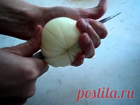 Хризантема из лука. Видео..