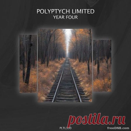 VA — POLYPTYCH LIMITED YEAR FOUR (PLTL330) [MP3 / FLAC] - 15 August 2024 - EDM TITAN TORRENT UK ONLY BEST MP3 FOR FREE IN 320Kbps (Скачать Музыку бесплатно).