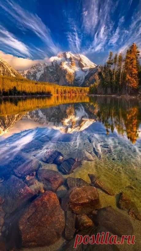 Google+