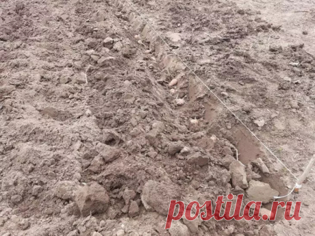 Как превратить песок в плодородную почву за копейки: гениальный метод. Песчаная почва — не приговор. Да, она быстро теряет влагу и питательные вещества, но это легко исправить без тонн чернозема или дорогих удобрений.