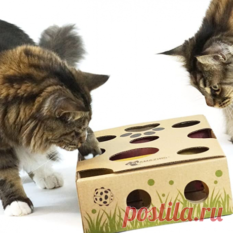 Amazon.com : CAT AMAZING – Best Cat Toy Ever! Interactive Treat Maze & Puzzle Feeder for Cats : Pet Mice And Animal Toys : Pet Supplies