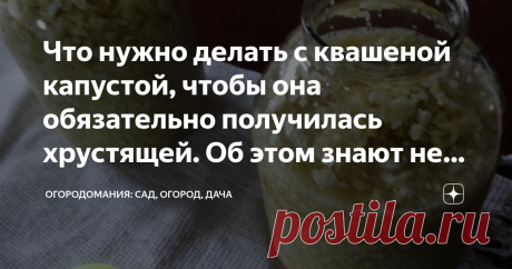 Что нужно делать с квашеной капустой, чтобы она обязательно получилась хрустящей. Об этом знают не все Что может быть вкуснее квашеной капусты приготовленной самостоятельно в домашних условиях? Ответ один: только хрустящая квашеная капуста!!! А как добиться того, чтобы ваша квашеная капуста хрустела, а не была мягкой. Об этом вы узнаете из нашей публикации.