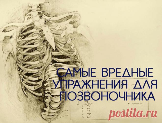 Самые ВРЕДНЫЕ упражнения для позвоночника