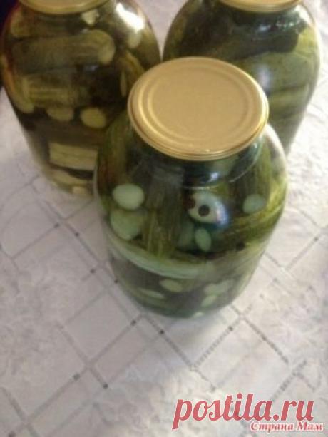 Болгарские огурчики - Люблю готовить - Страна Мам