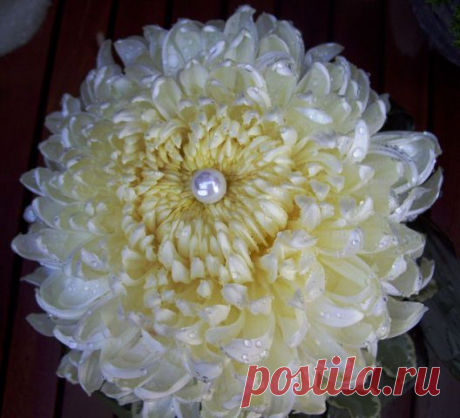 Незабываемые 60-е - 80-е
Екатерина Гердт (Роор)